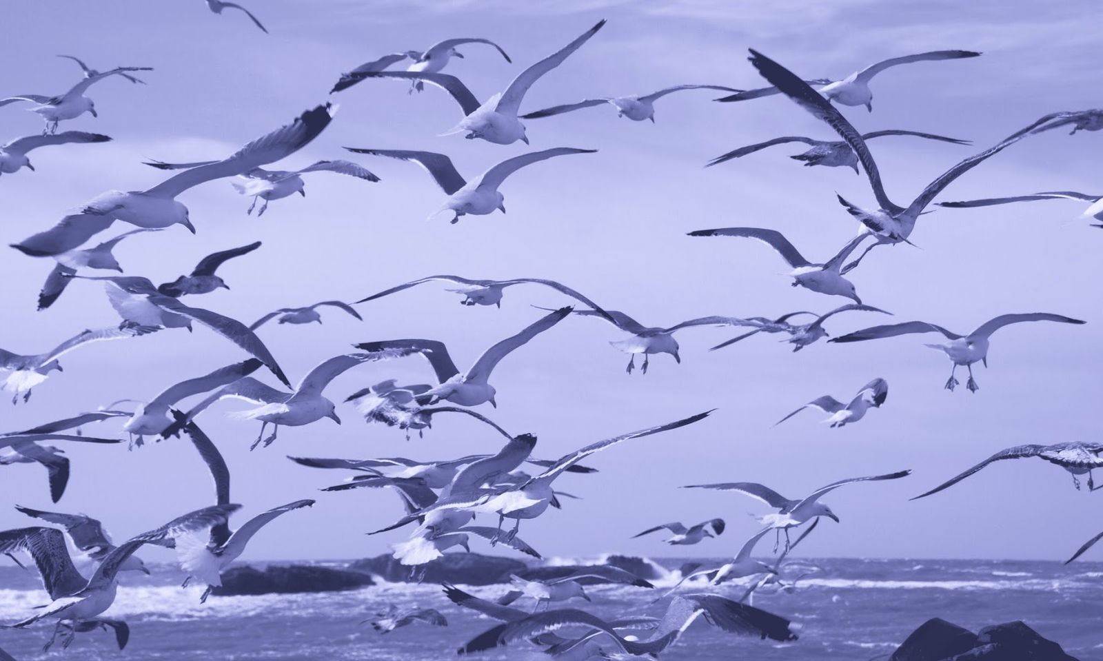 Studio Dentistico dr.Mario Marcolina