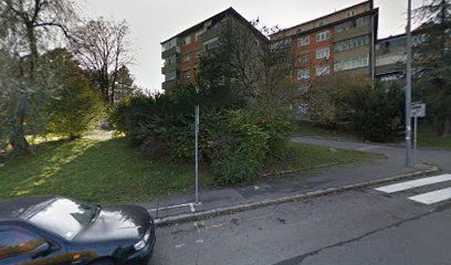 Dragoslava Srejovića 58