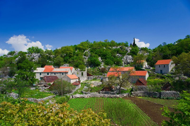 Ruralna cjelina Tomaši