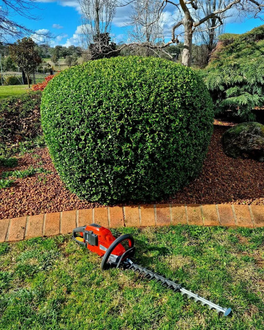 Uredjivanje dvorišta Beograd profesionalni servis usluga za uređenje dvorišta,terasa i zelenih površina