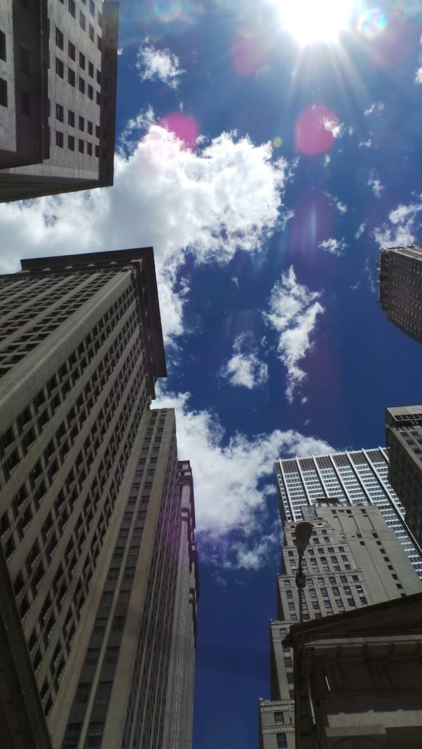 PROFESIONALNA UPRAVNICA