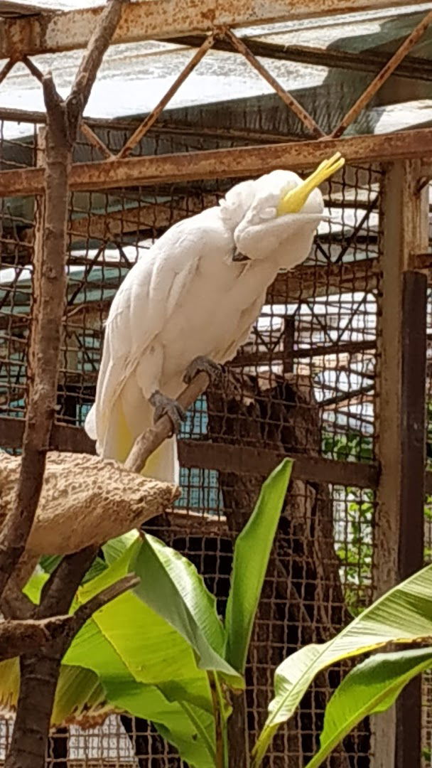 Bird Park