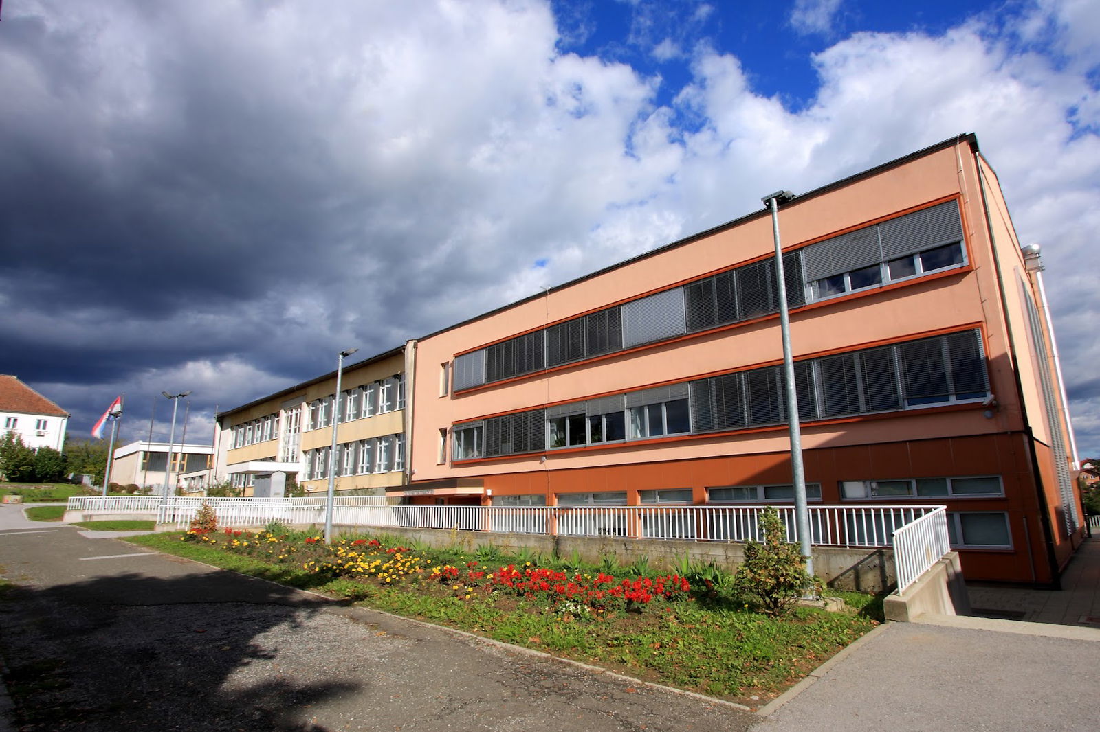 Elementary School Brace Radica