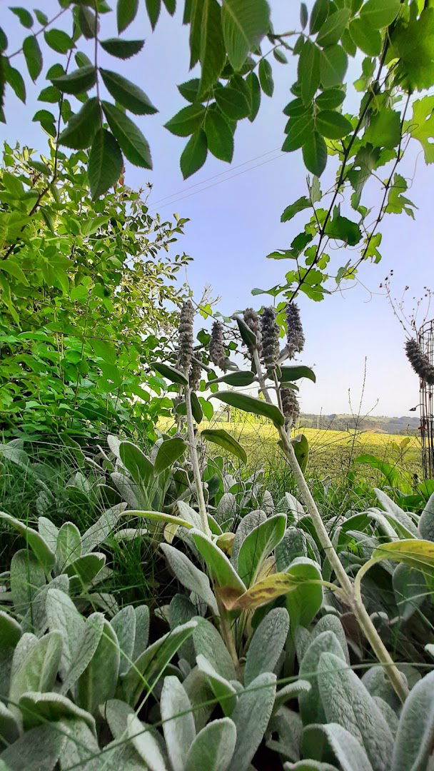 Turistično društvo Runeč