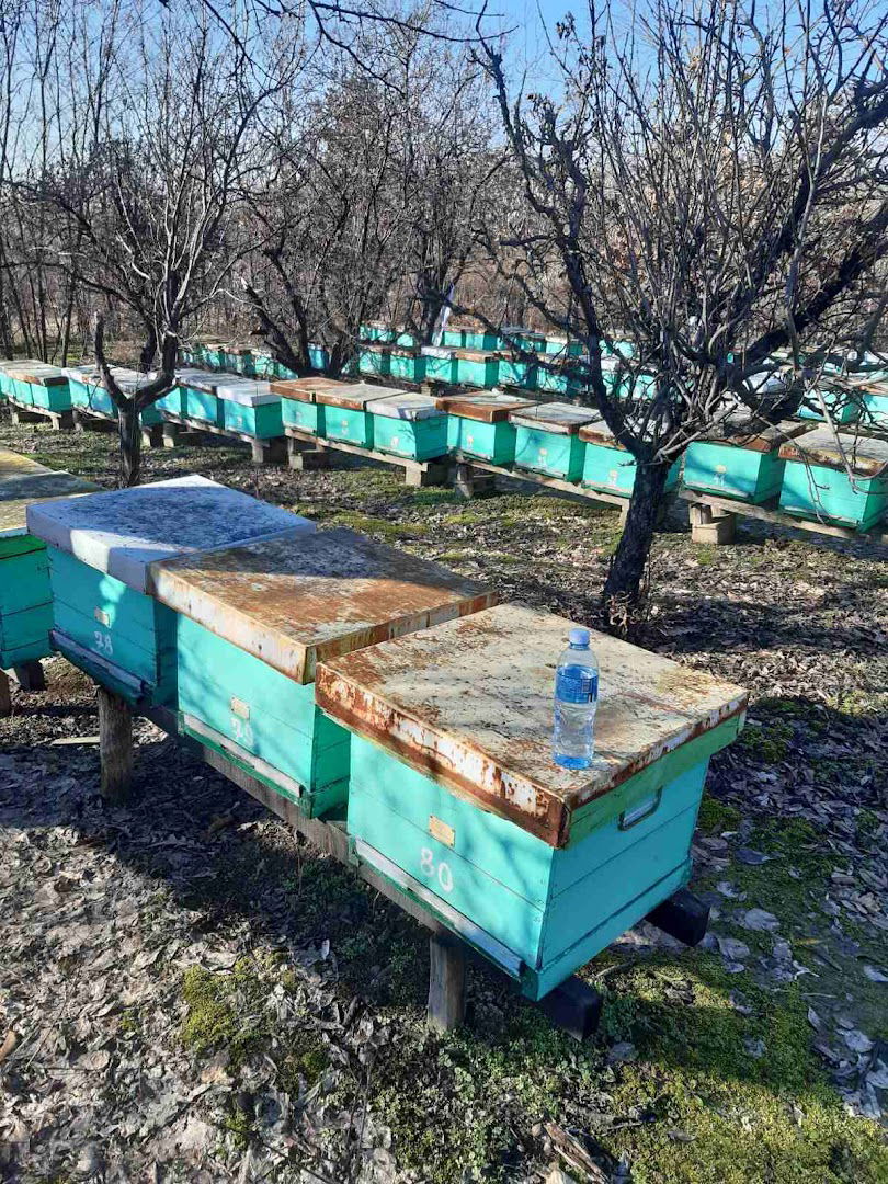 Pčelarstvo Jurišić