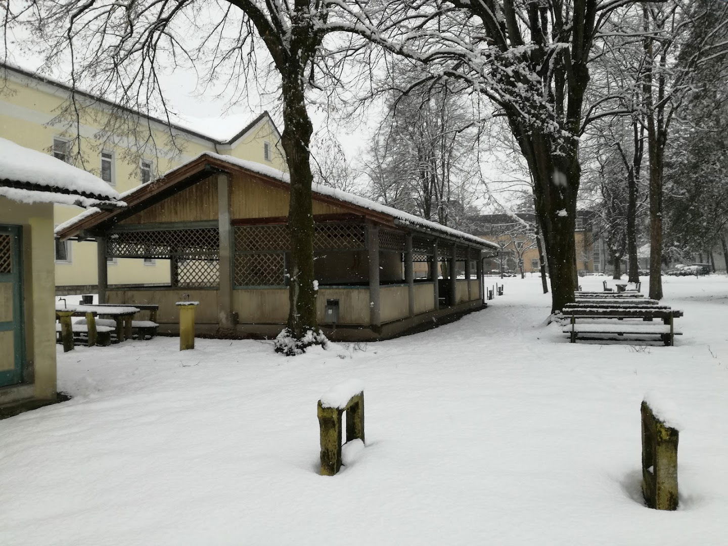 Univerzitetna psihiatrična klinika