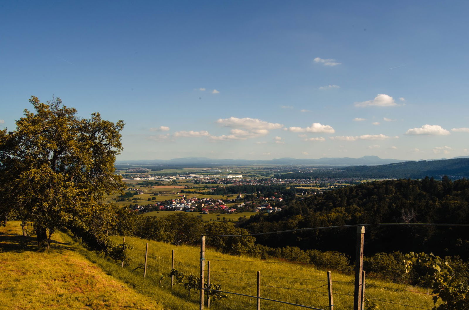 Pogled na Dravsko polje