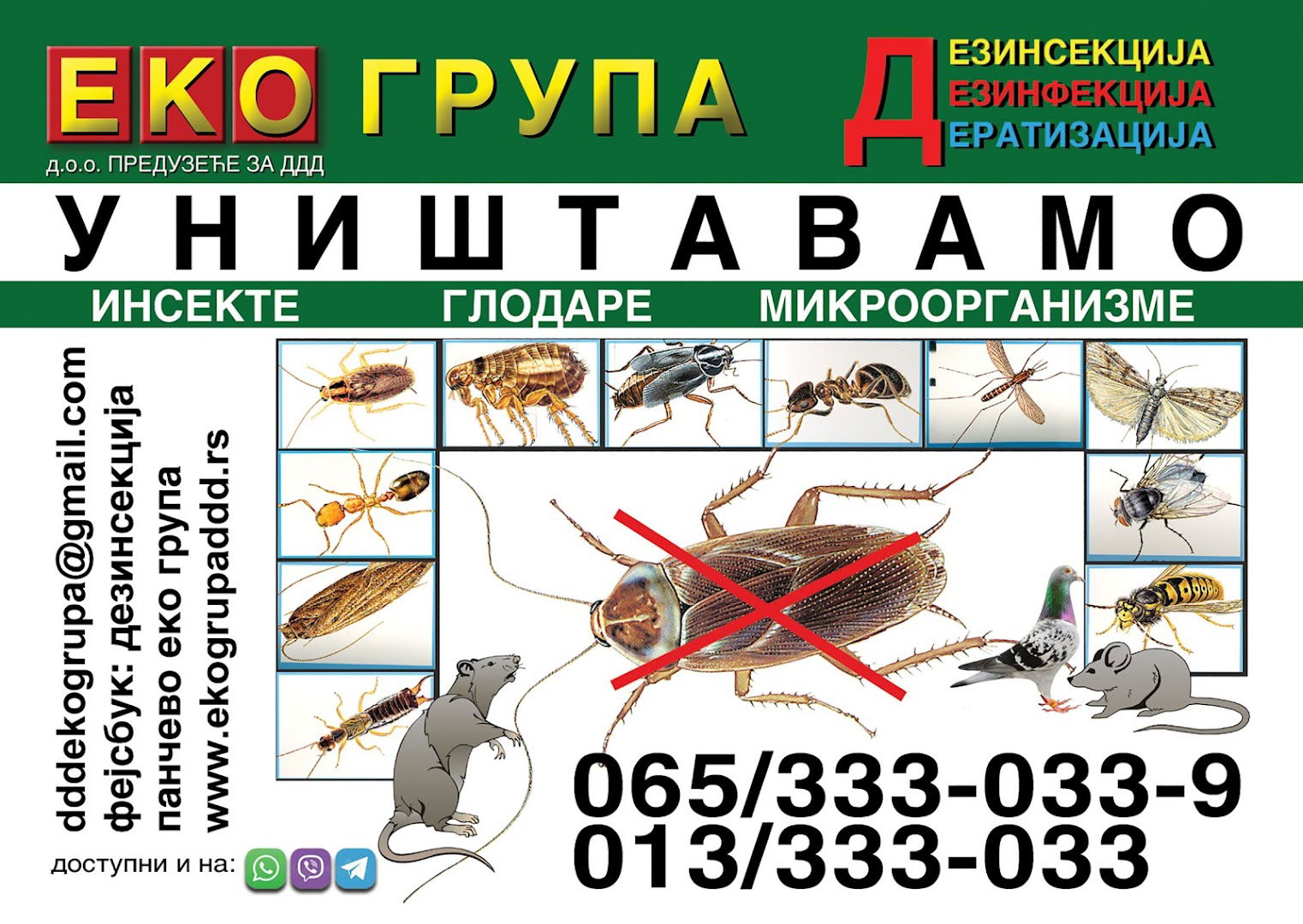 DDD Eco Group Pančevo