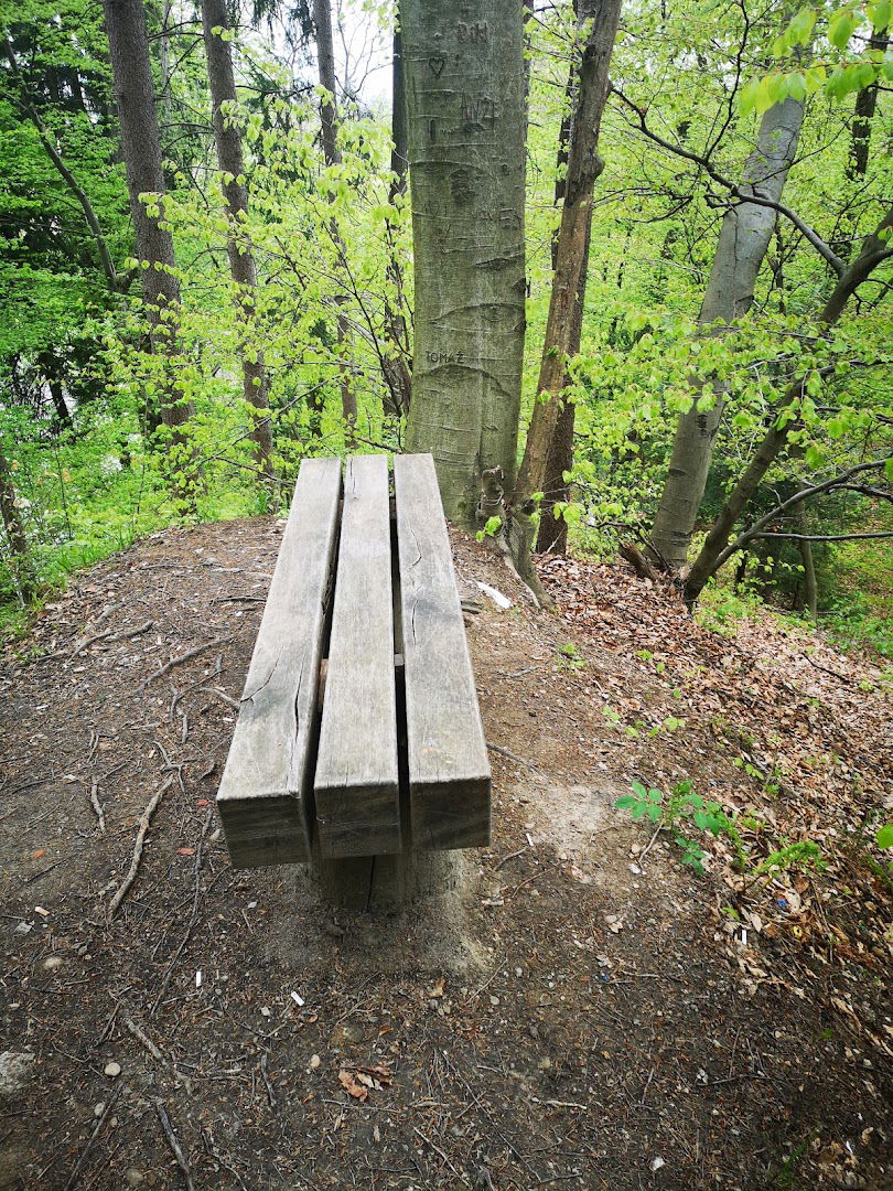 Trim steza mestni gozd Celje