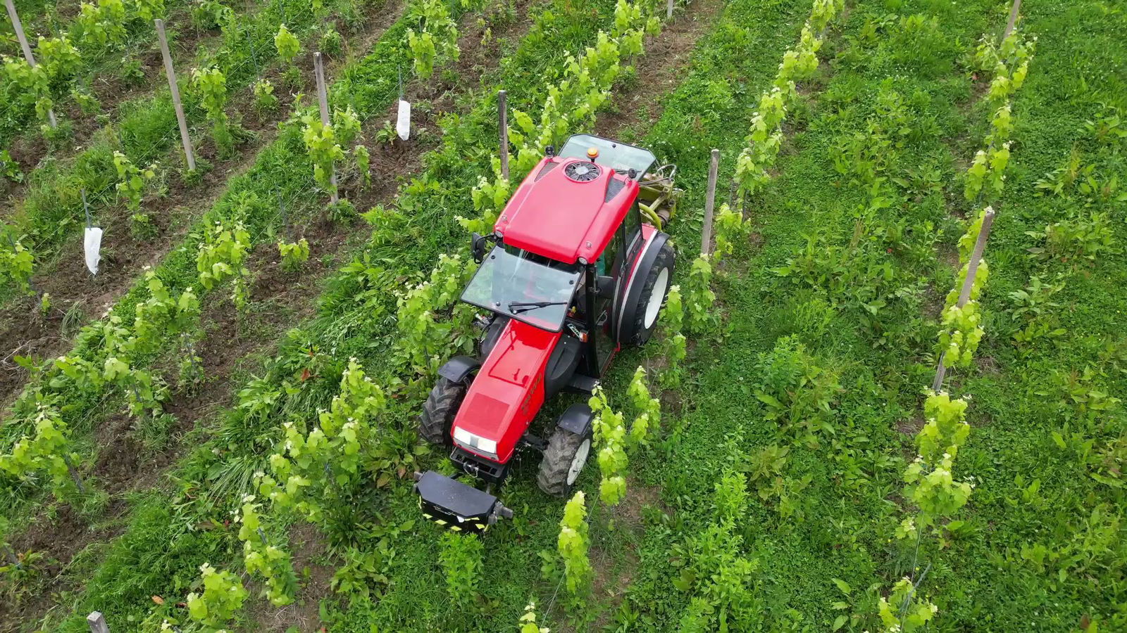 Hiša pesmi in vina SAGMEISTER