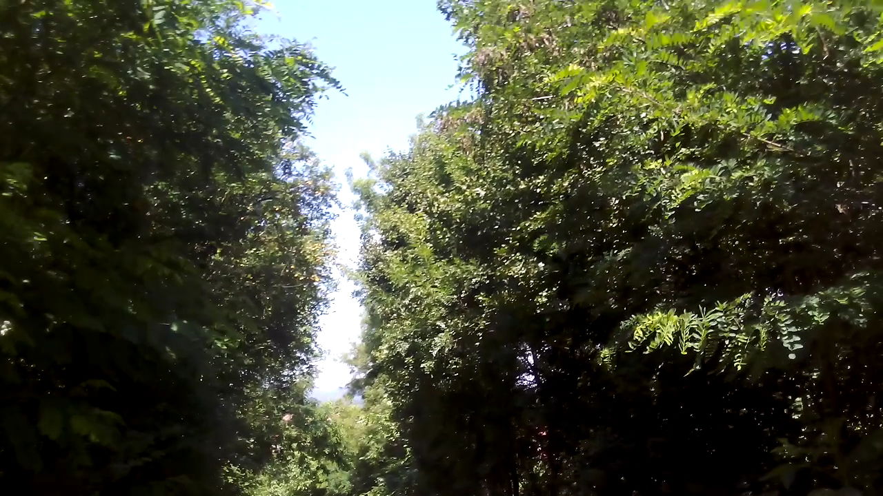 Дом здравља "Врчин"