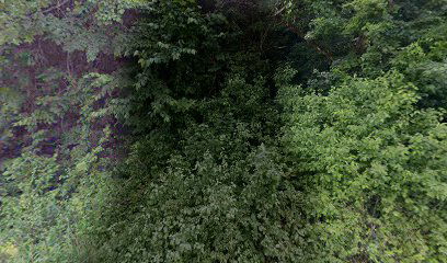 Gospić, Trnovac cemetery