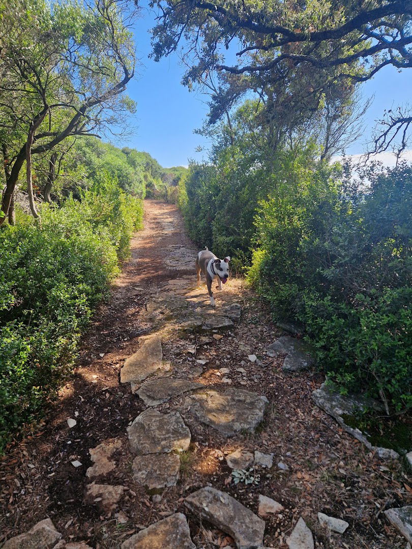 Educational trail Zelenikovac, NP Brijuni