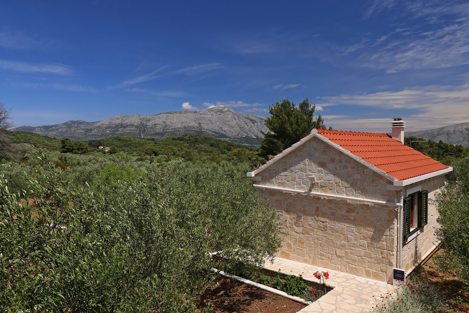 In the shade - Olive shade