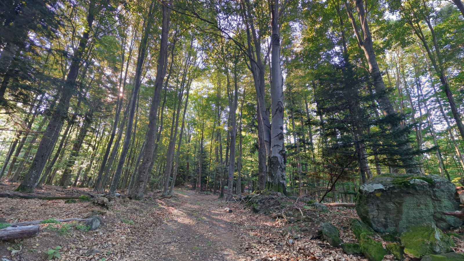 SPP spust prema Zvečevu