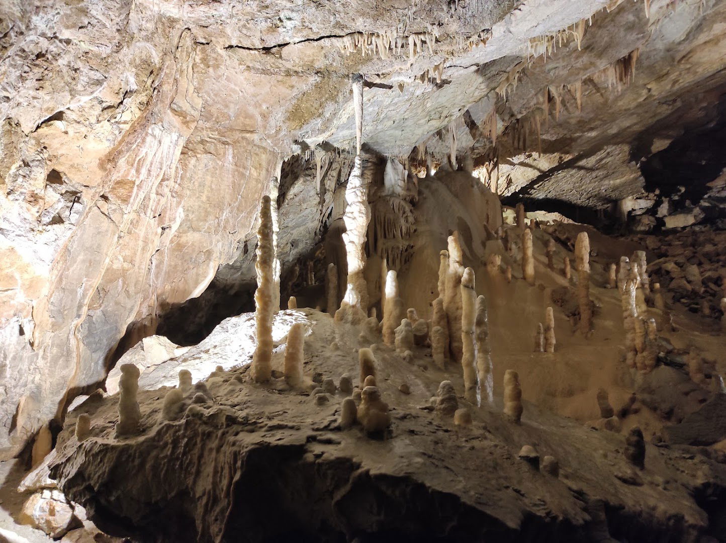 Postojna Cave