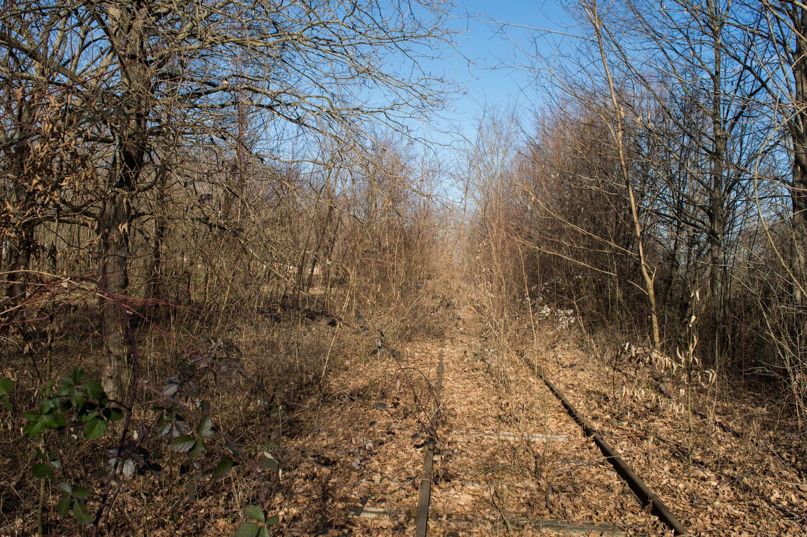 Teklafalu megállóhely