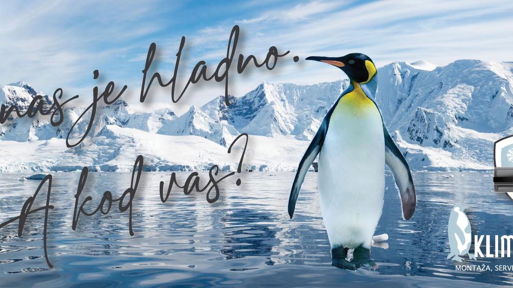 Klima Zirdum, Since 2003