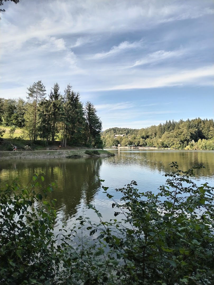 Parkirišče Šmartinsko jezero