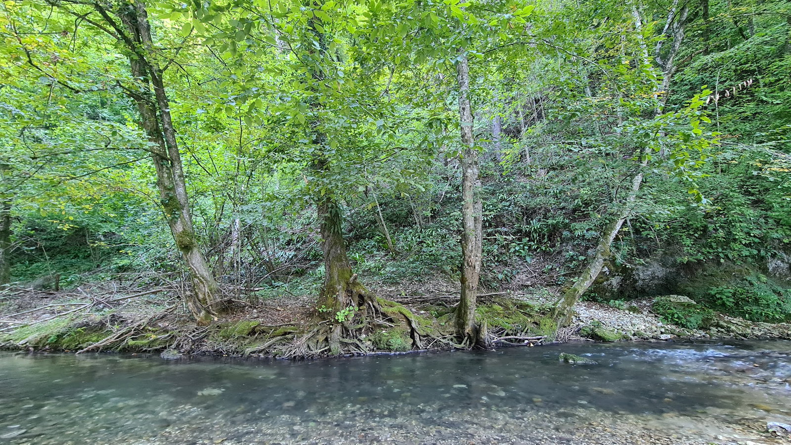 Zen uz potok Bregančica