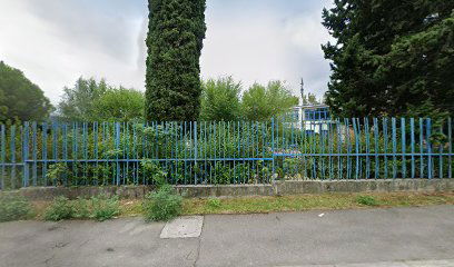 Pixel Service & Consulting Srl