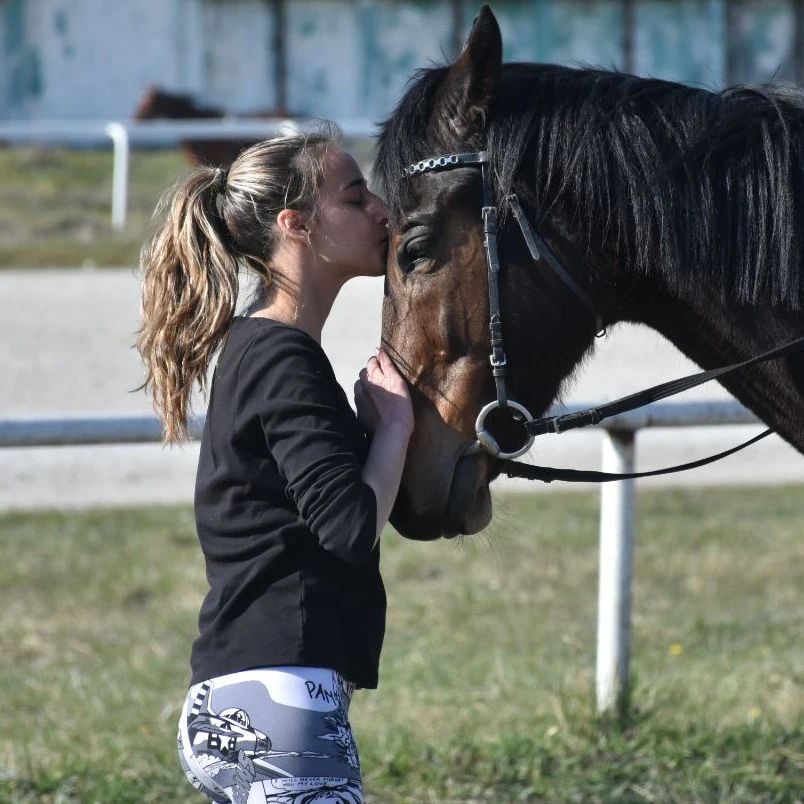 Škola jahanja Liberty - Hipodrom Beograd