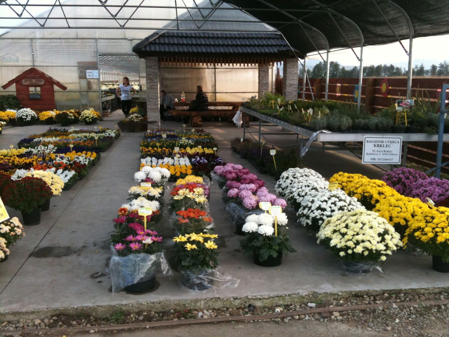 RASADNIK CVIJEĆA KRKLEC, IVICA KRKLEC