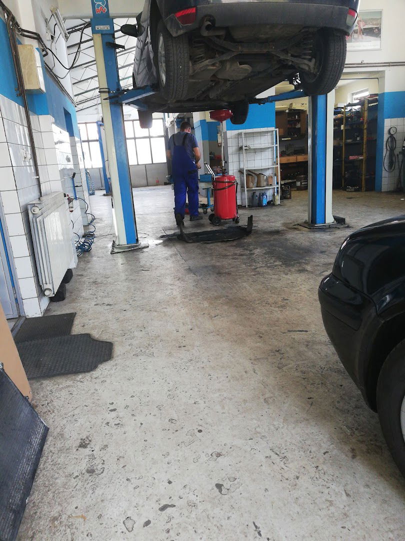 Auto Service Tepavac