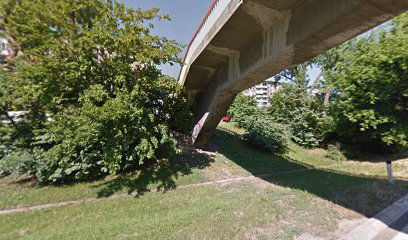 Пасарела Арена