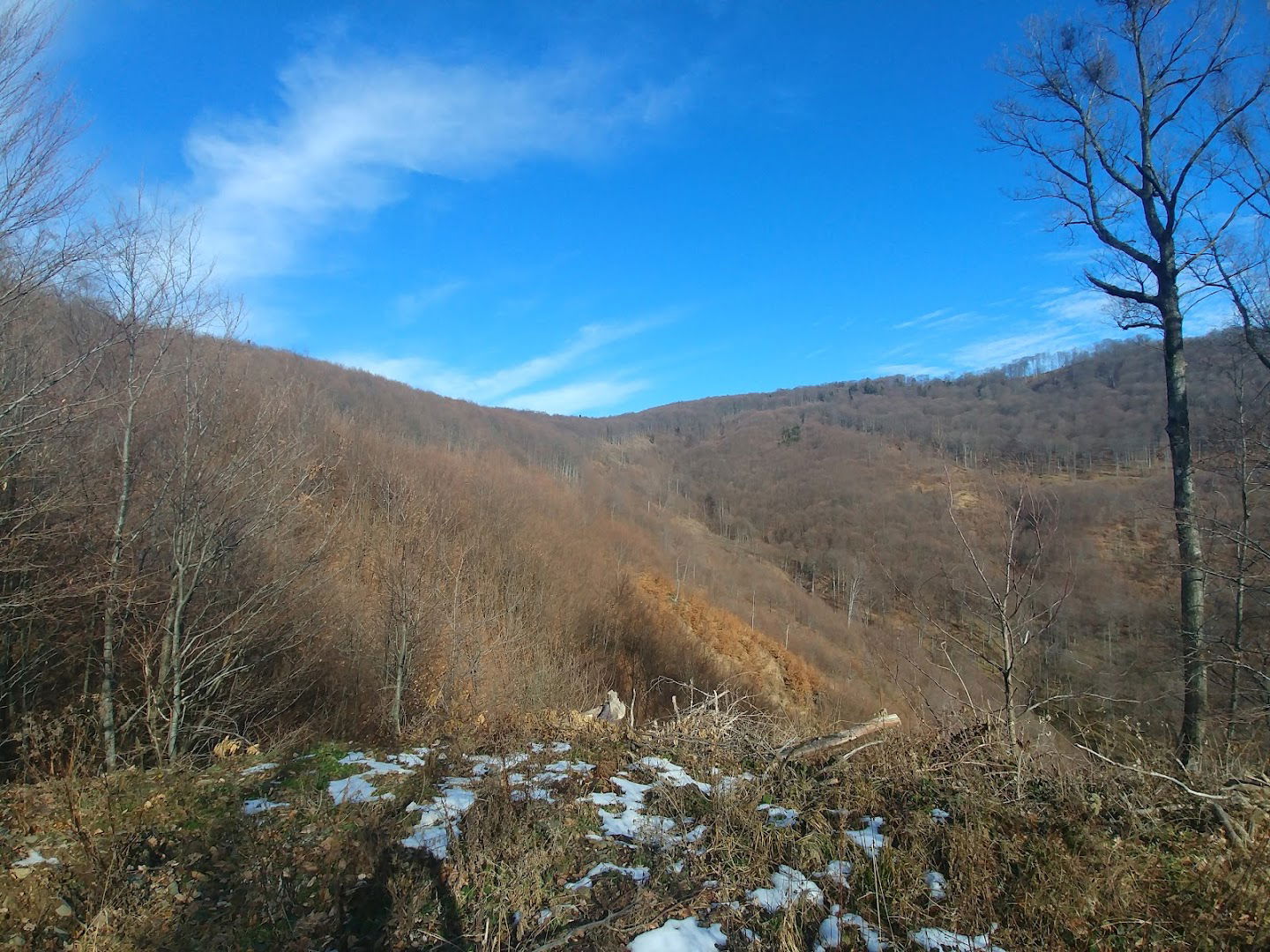 Planinarski Trofej Risnjak 724 Mnv