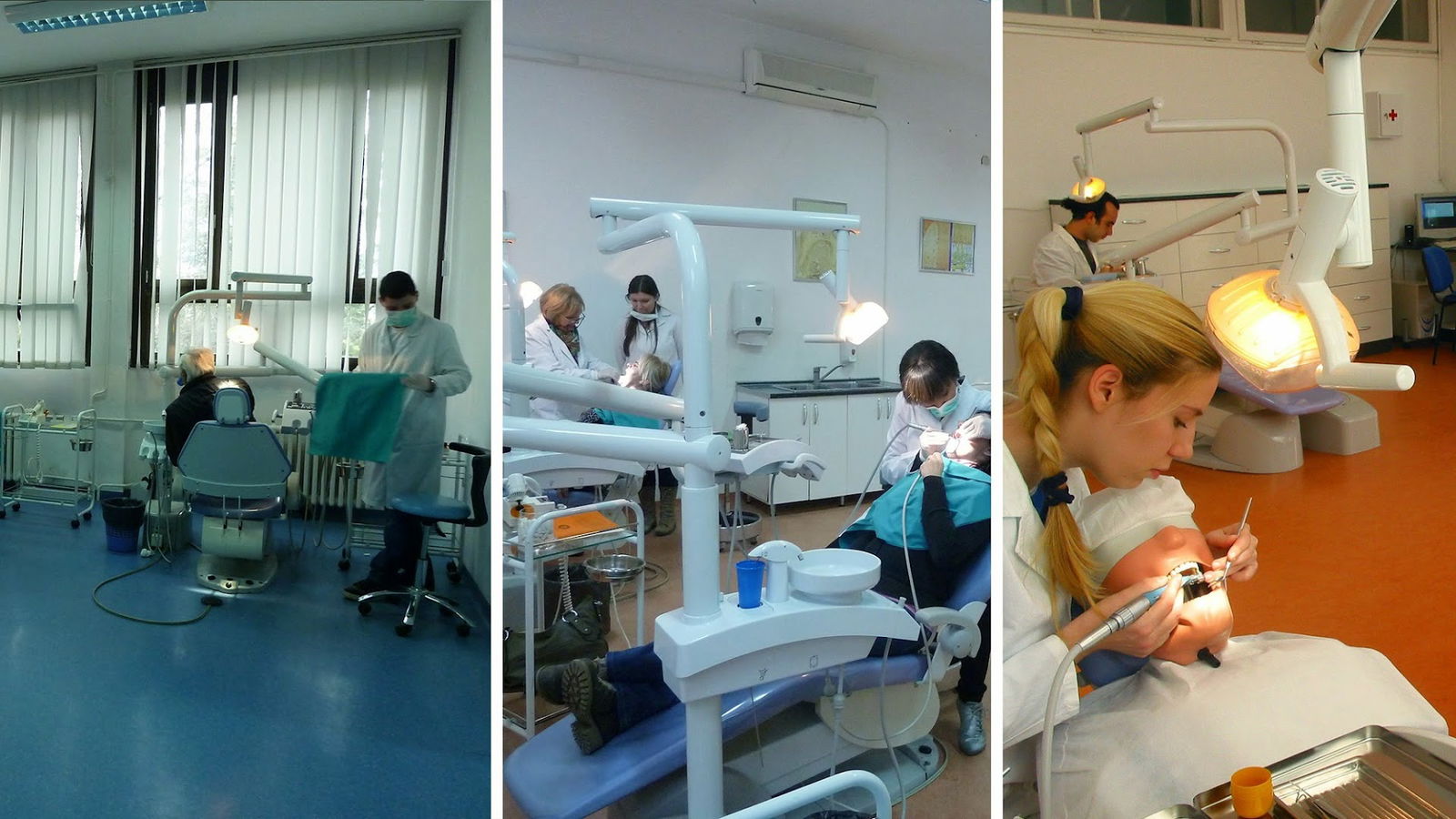 Faculty of Dentistry