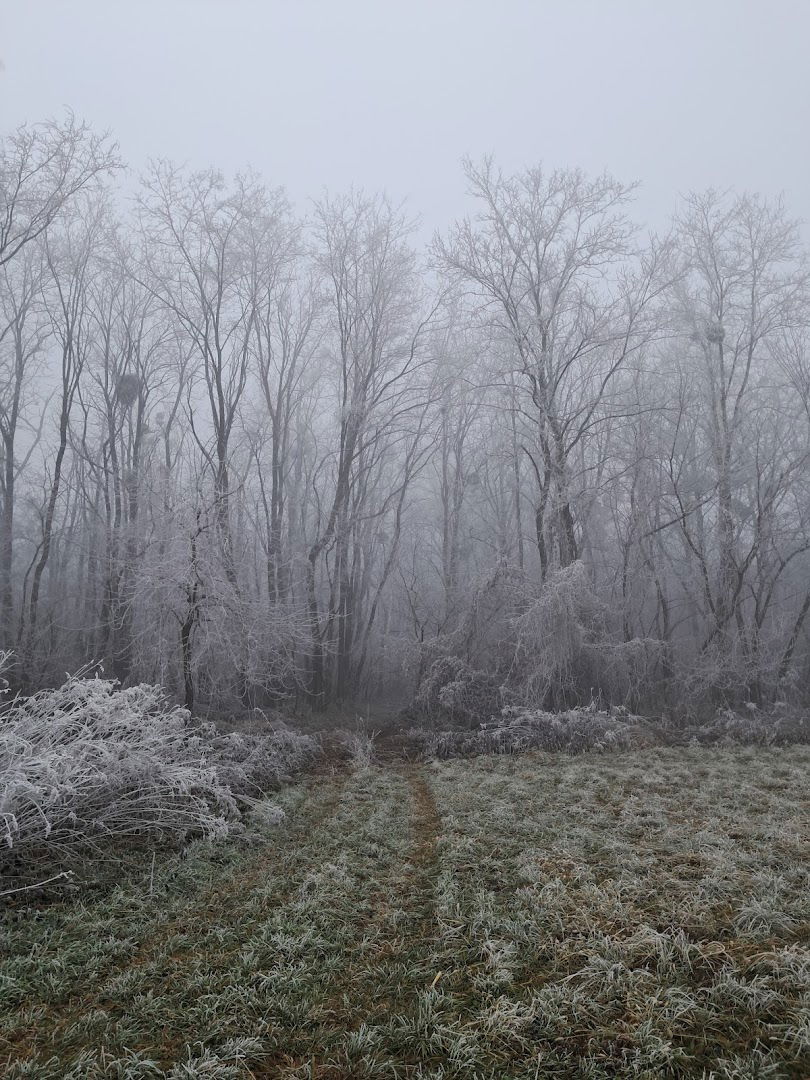 Sarabija Micronation