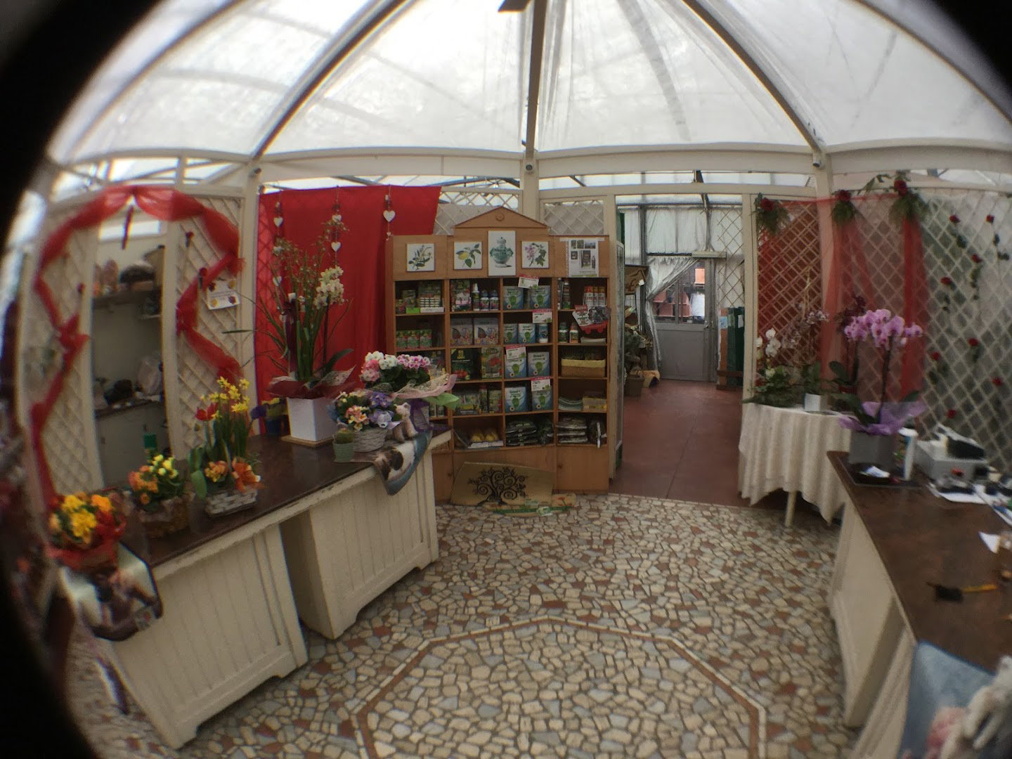 Garden Service Miramare Srl