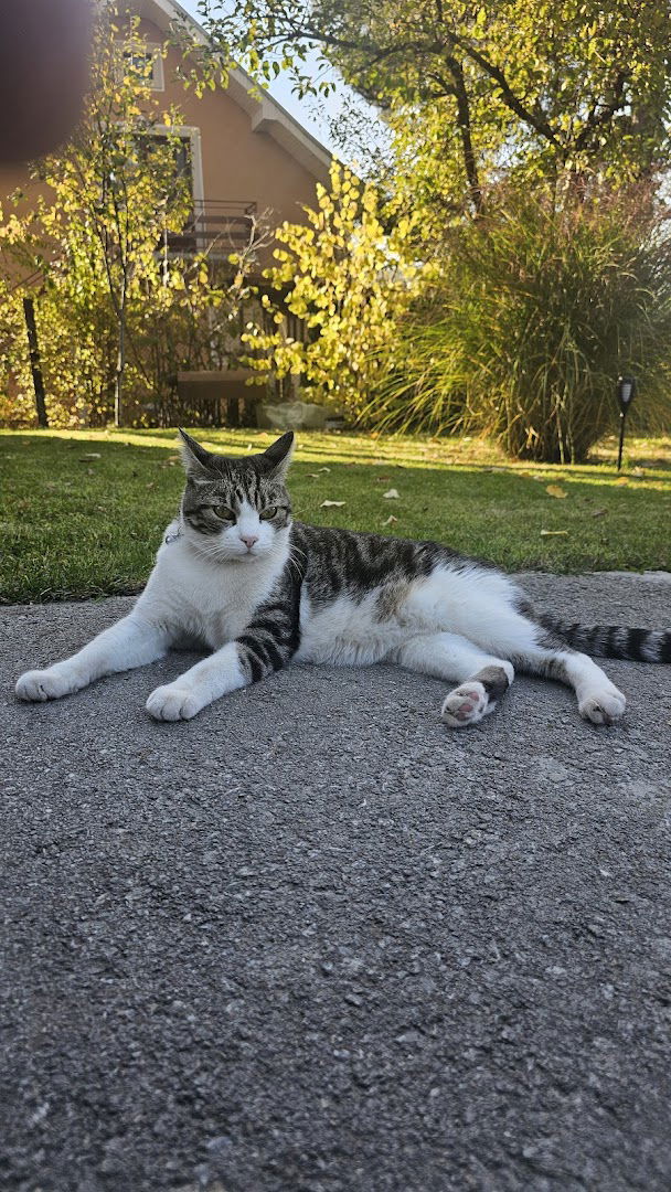 Veterinary clinic Boban