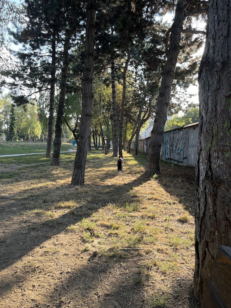 Dog Park Branimir