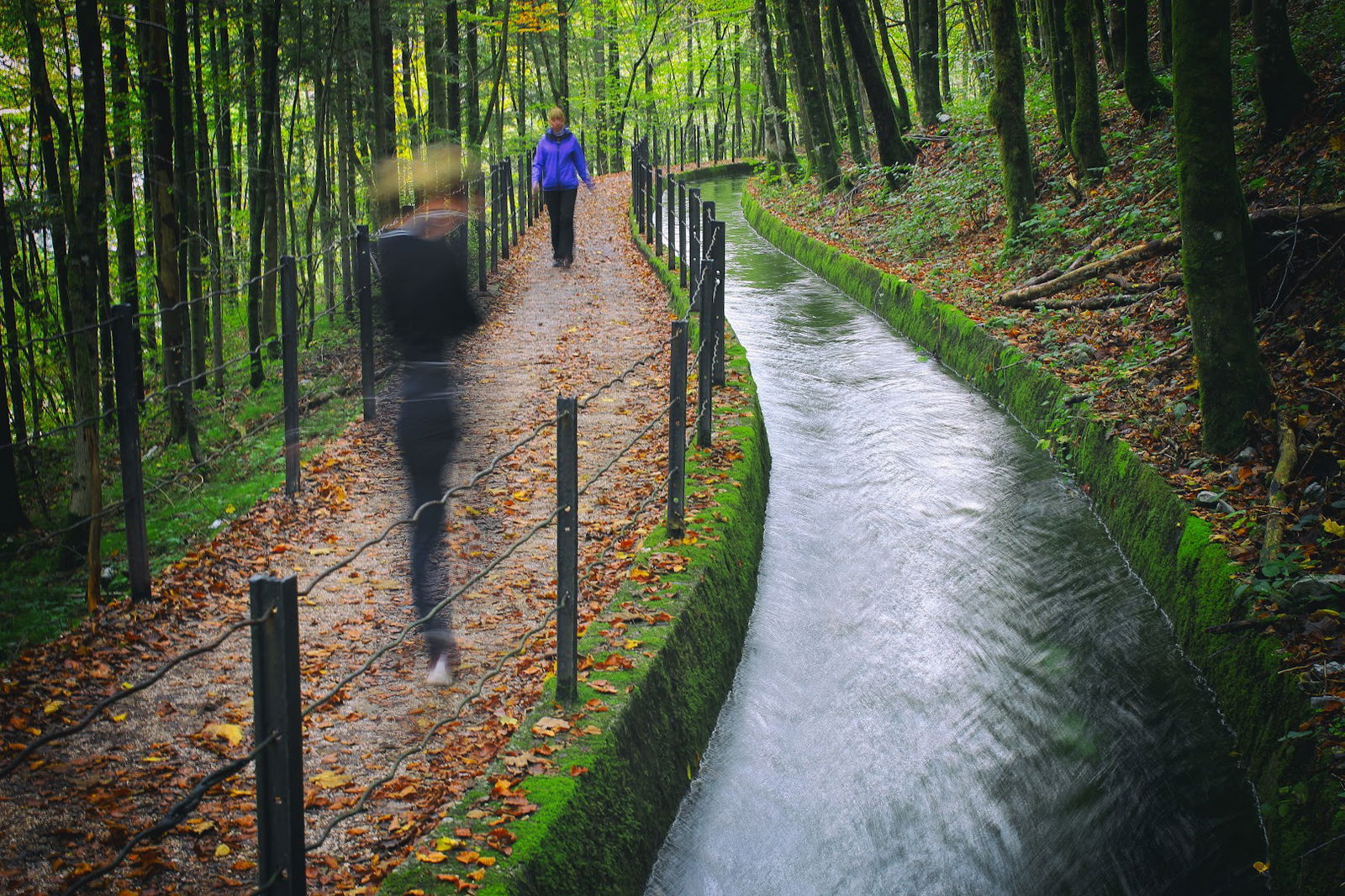 Naravoslovna Učna pot ob Rakah