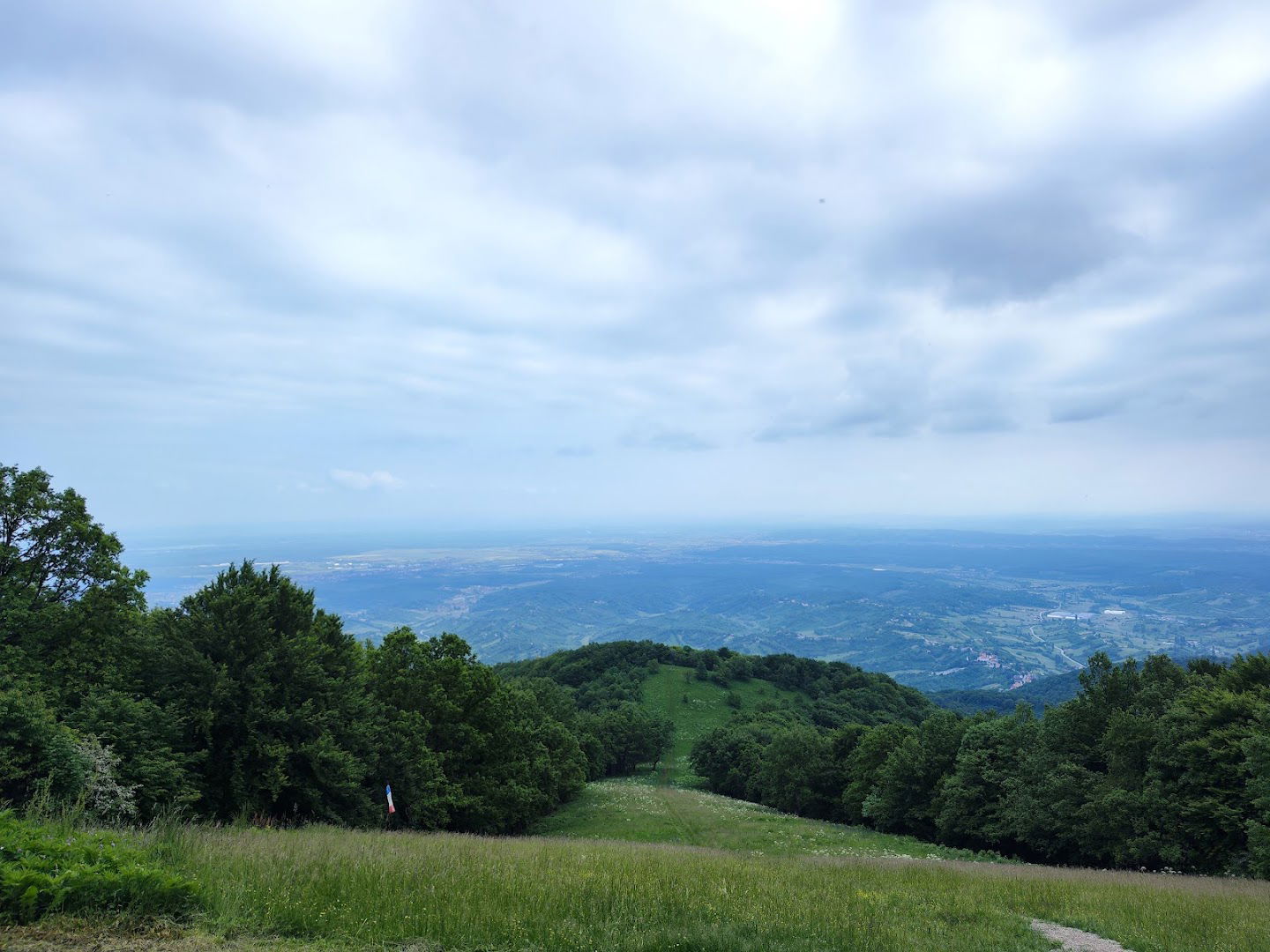 Dragonoš - Japetić