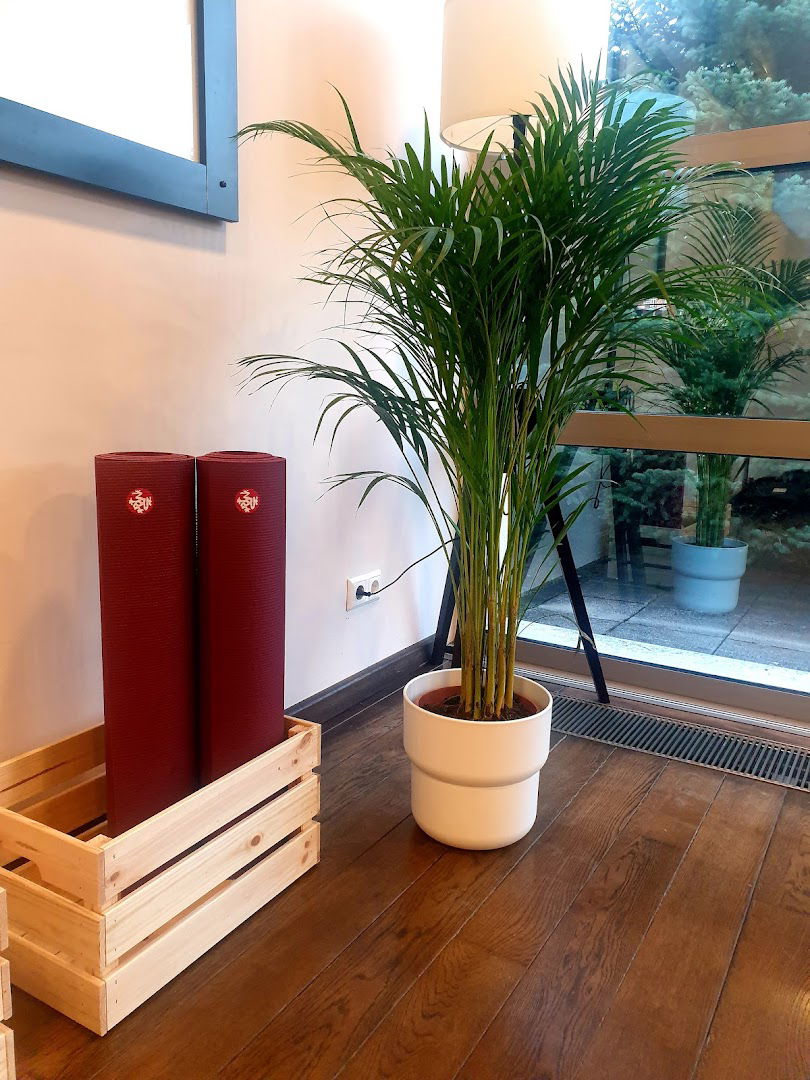 Moon Studio Kristina Inkret