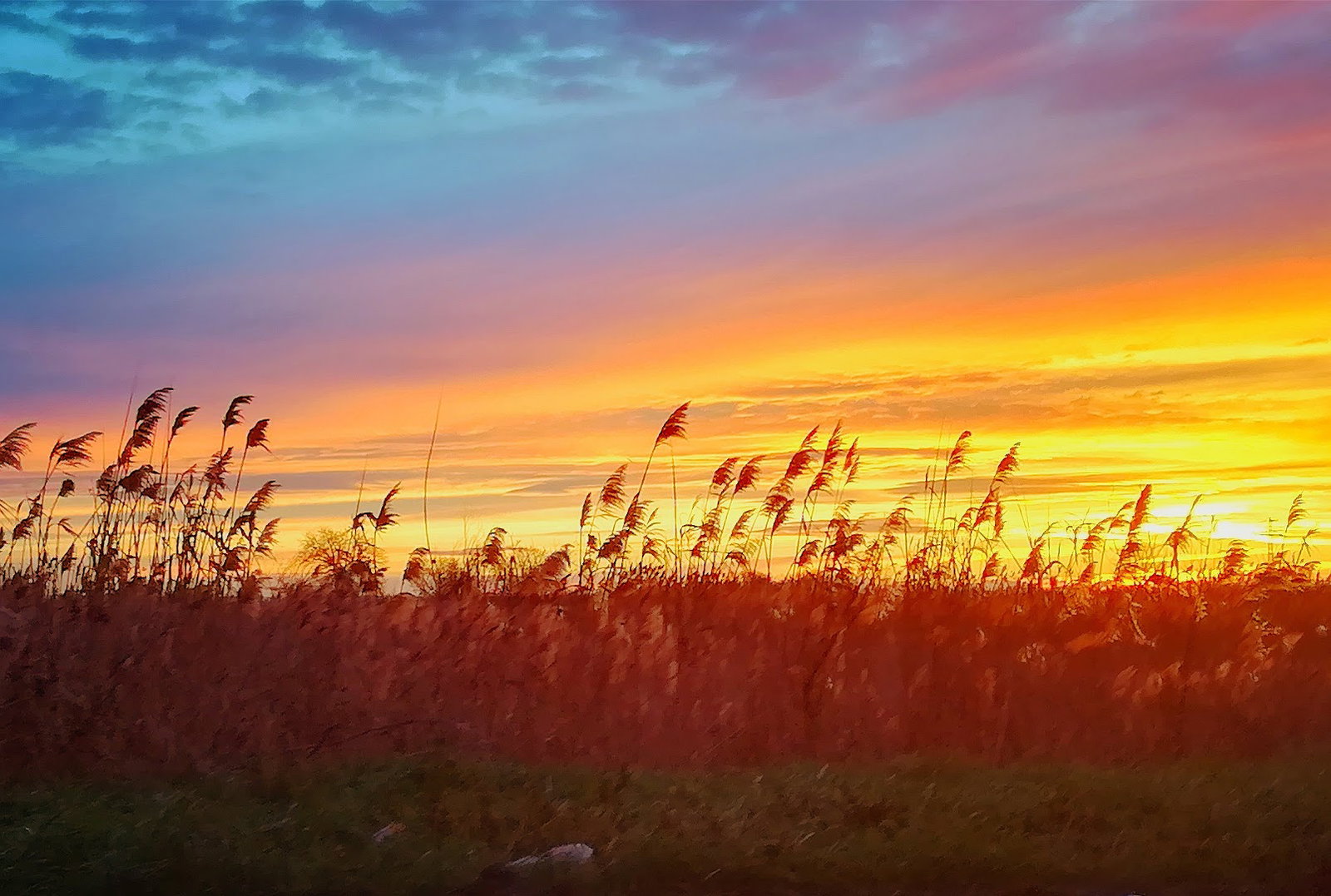 Spomenik žrtvama fašizma