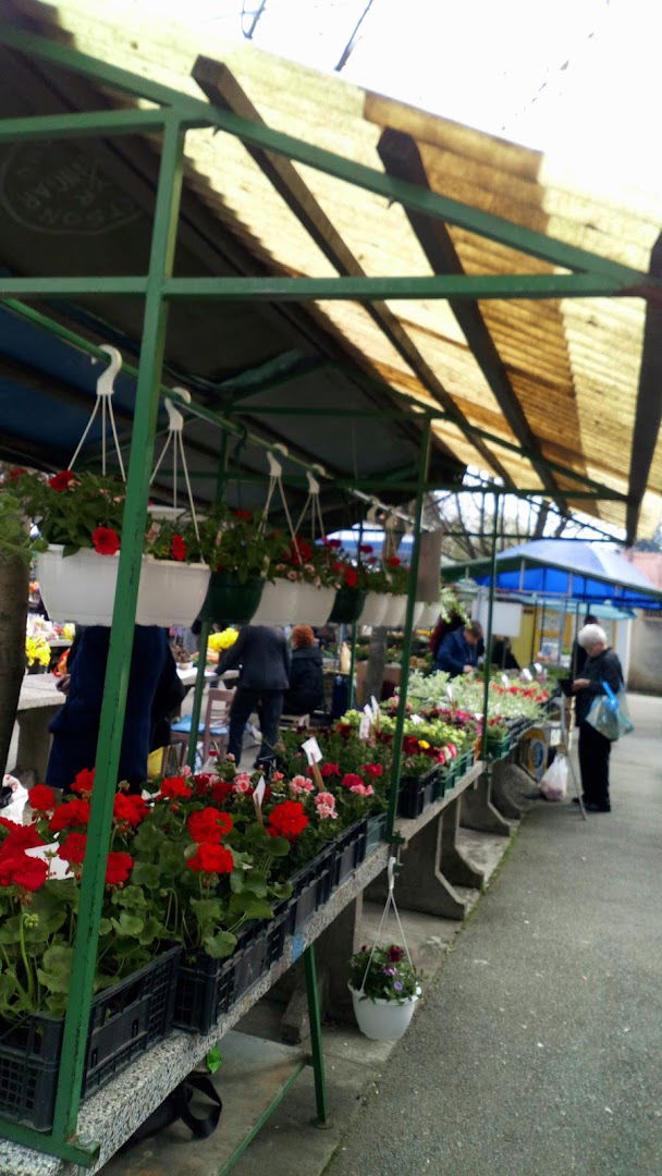 Farmers' Market