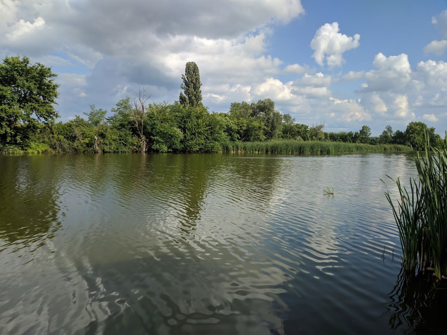 Nature Park Ponjavica