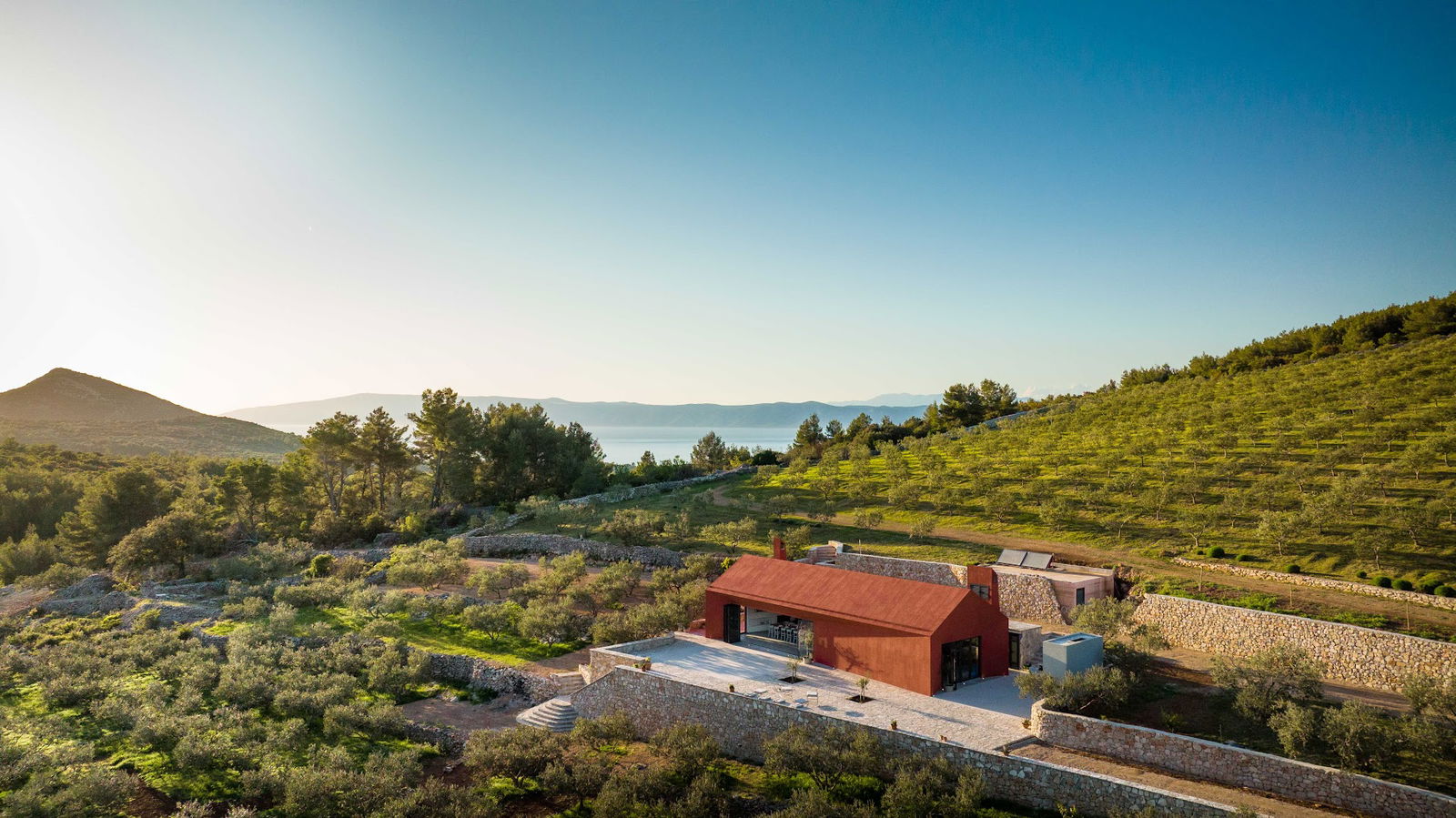 SECA Eva Marija - Olive Oil Tasting