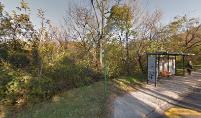 Institut Mihajlo Pupin