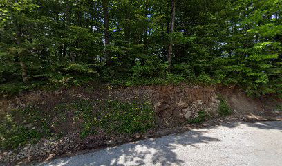 Črni Vrh nad Vrhovci