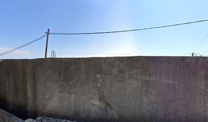 ANTUN KATUŠIĆ, TAKSISLUŽBA TONI TAKSI