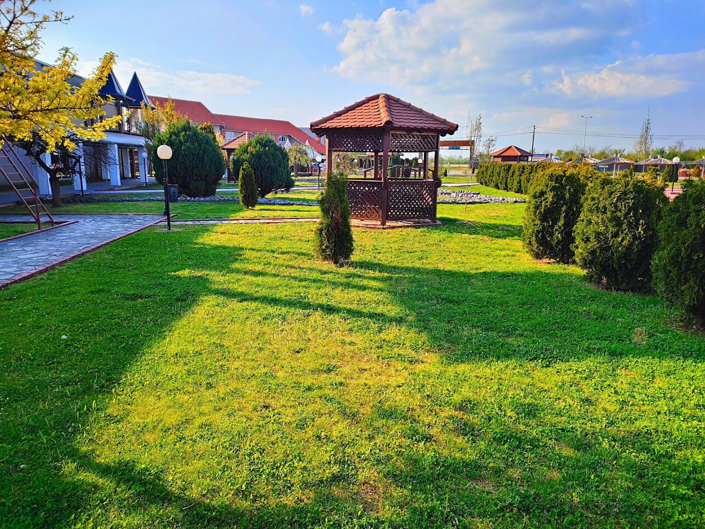 Queen Bazeni Dobanovci