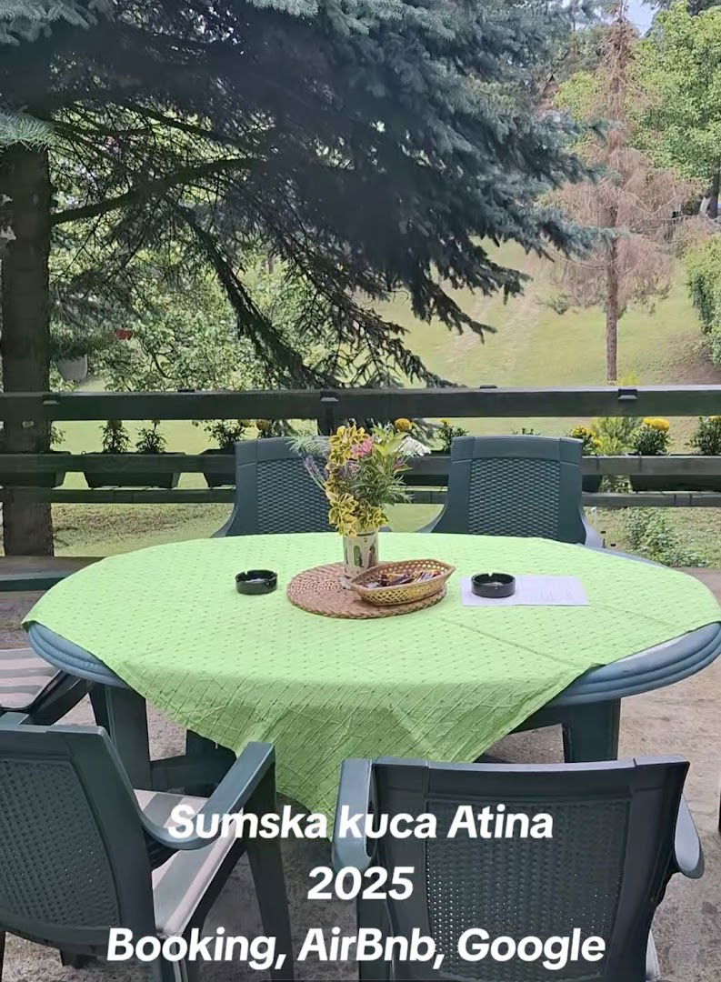 Šumska kuća Atina - Devojački Bunar