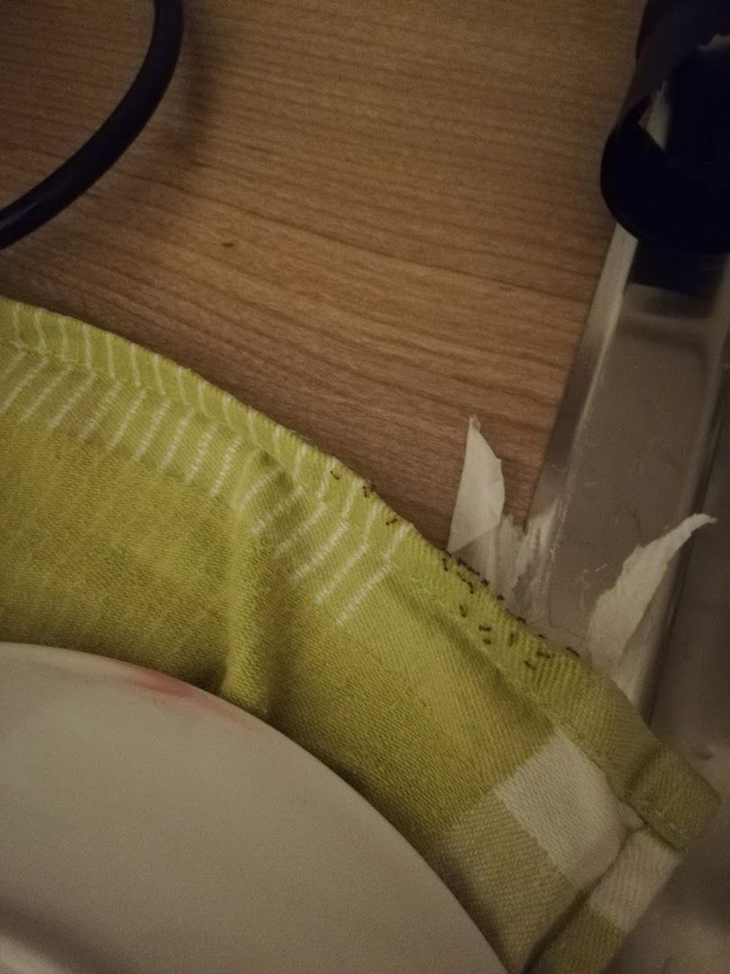 Apartment La Casa Mimi