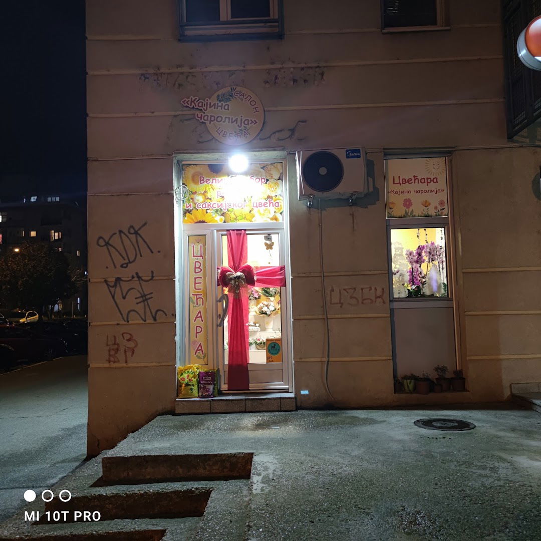 Кајина Чаролија