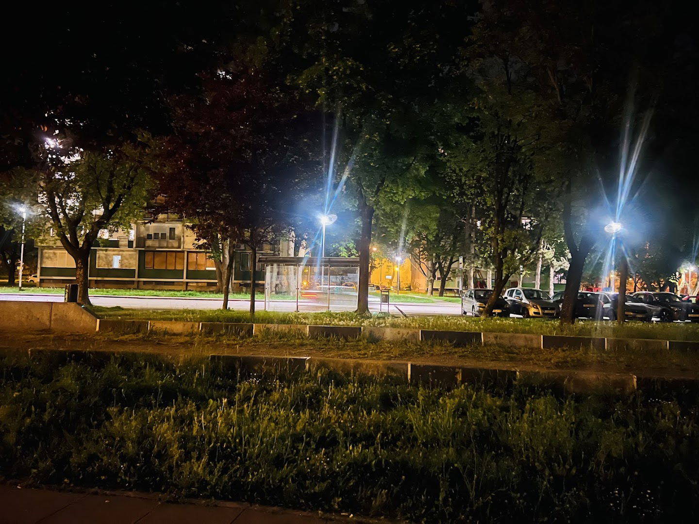 Street Workout park - Gajnice